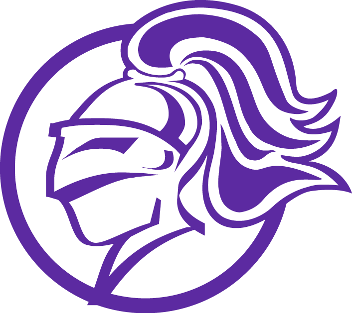 Holy Cross Crusaders 2010-Pres Alternate Logo diy DTF decal sticker